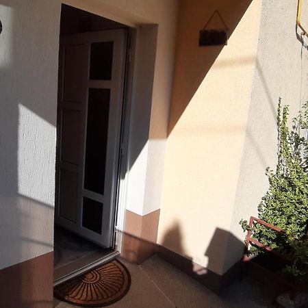 Villa Casa Ultracentral Suceava Extérieur photo