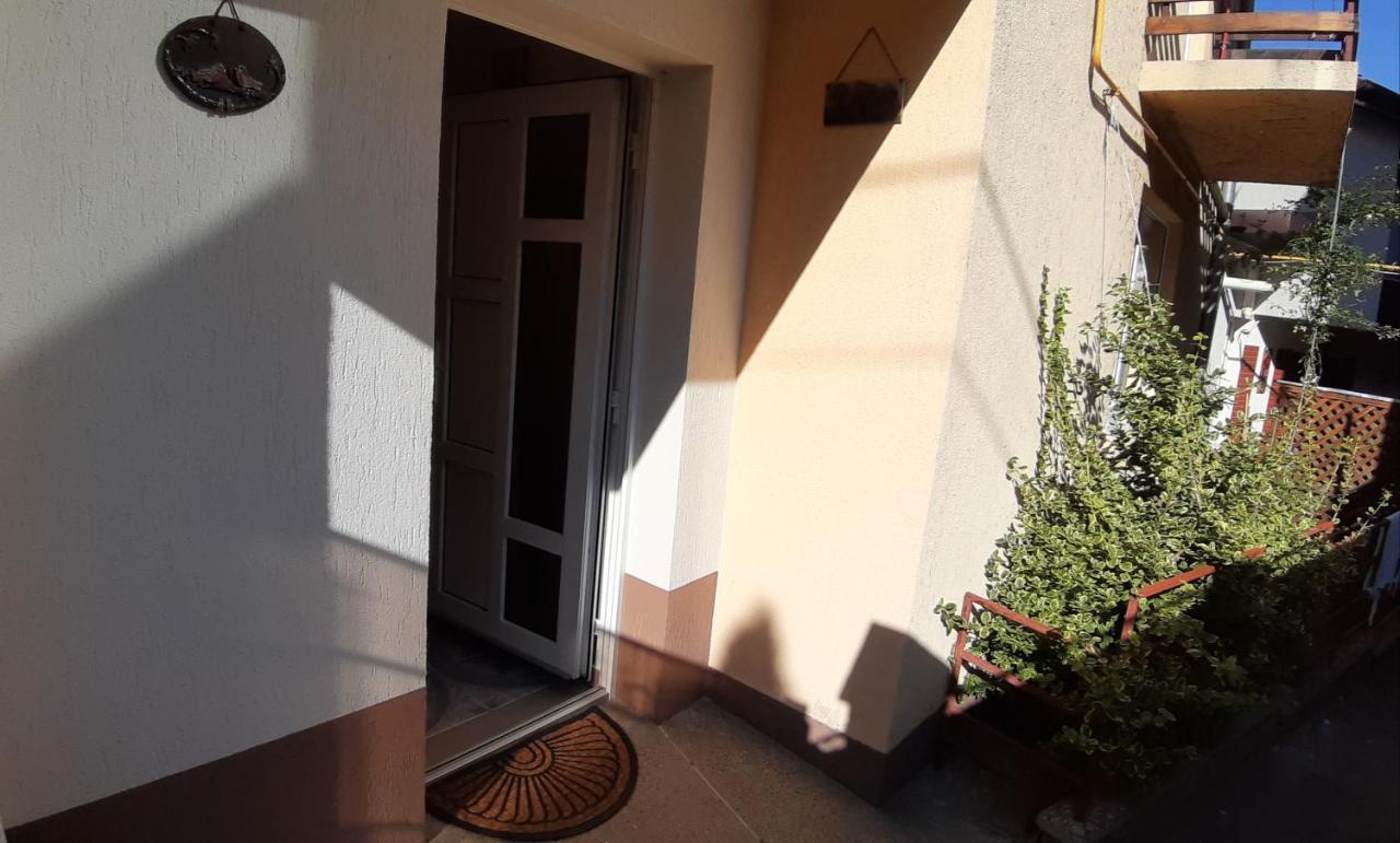 Villa Casa Ultracentral Suceava Extérieur photo