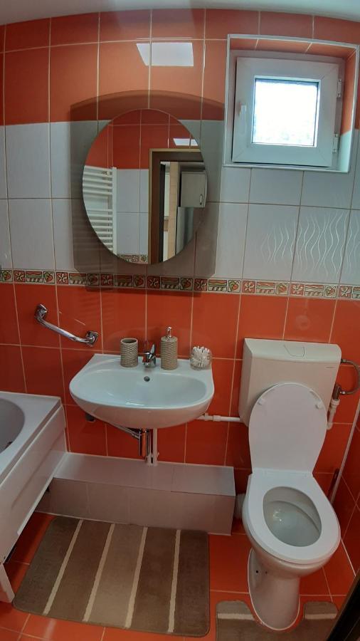 Villa Casa Ultracentral Suceava Extérieur photo