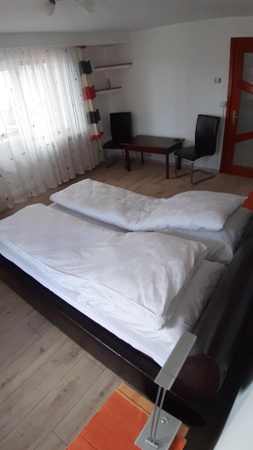Villa Casa Ultracentral Suceava Extérieur photo